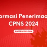 Formasi Penerimaan CPNS 2024